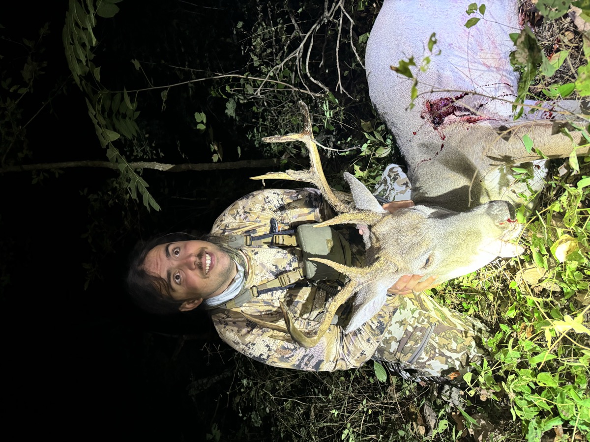 Hunter with whitetail buck in dense cover