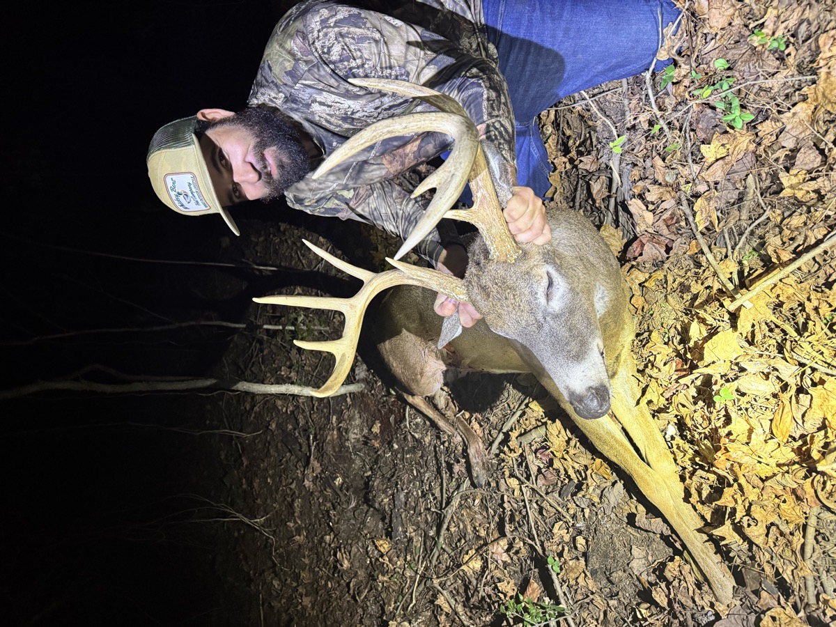 Hunter with multi-point buck in the timber